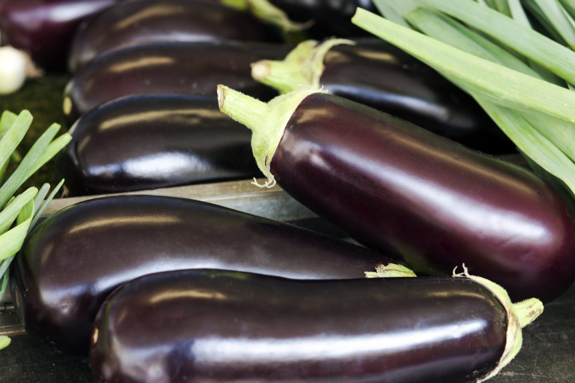 Detail Images Of Eggplants Nomer 9