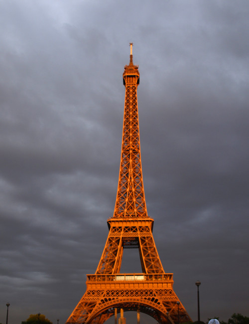 Detail Images Of Eiffel Tower Nomer 31