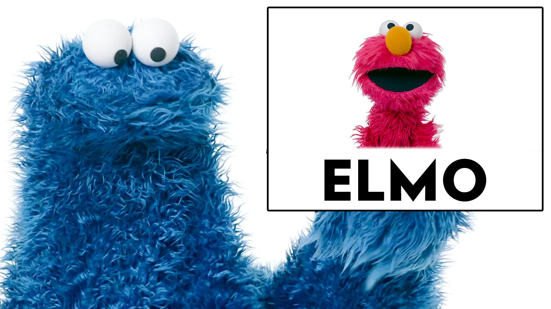 Detail Images Of Elmo From Sesame Street Nomer 46