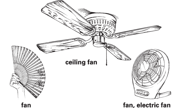 Detail Images Of Fan Nomer 18