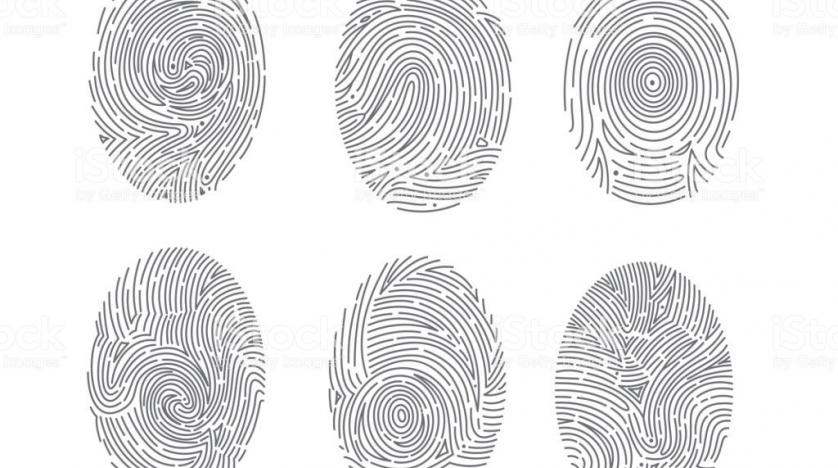 Detail Images Of Fingerprints Nomer 11