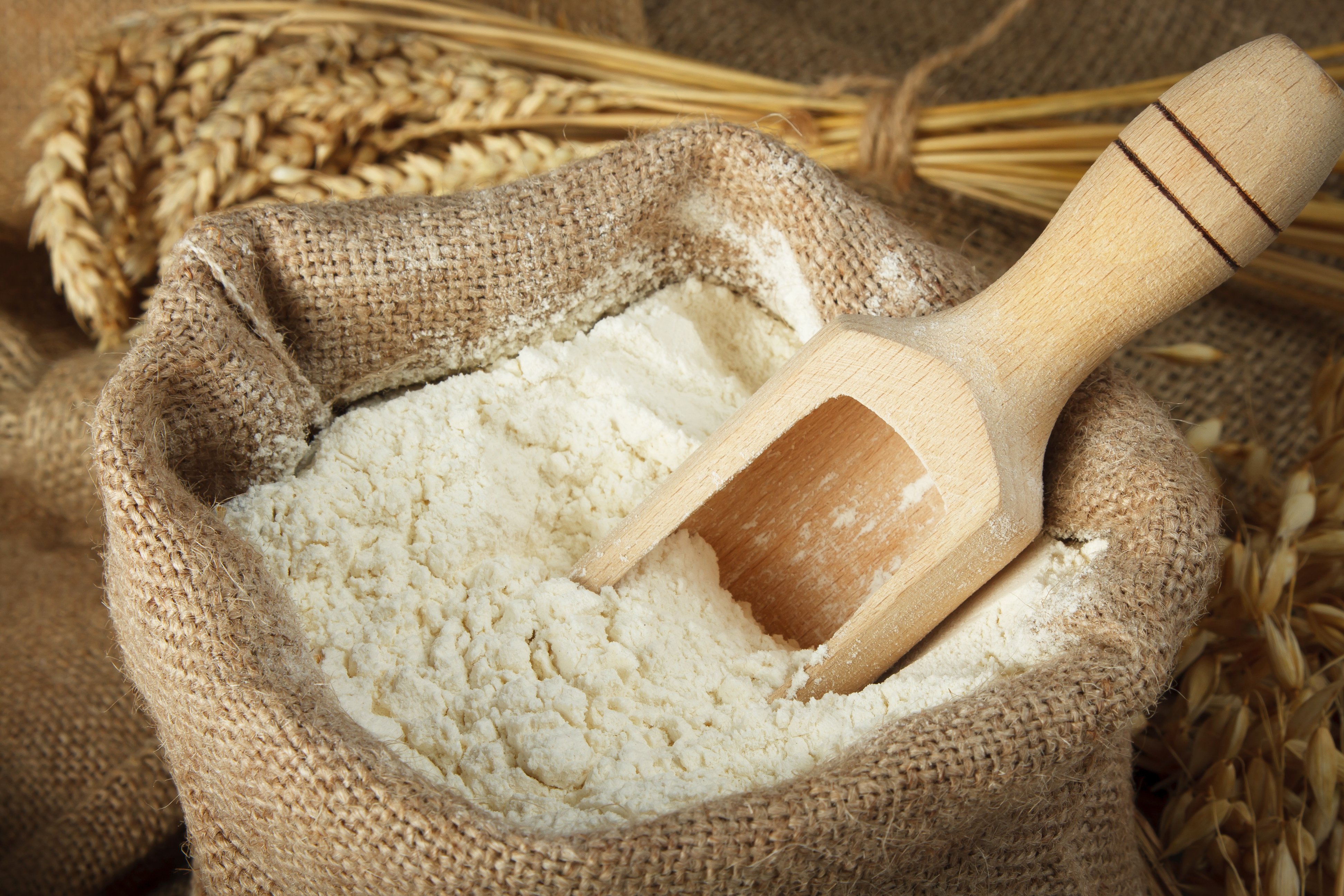 Detail Images Of Flour Nomer 43