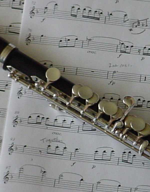 Detail Images Of Flutes Nomer 22
