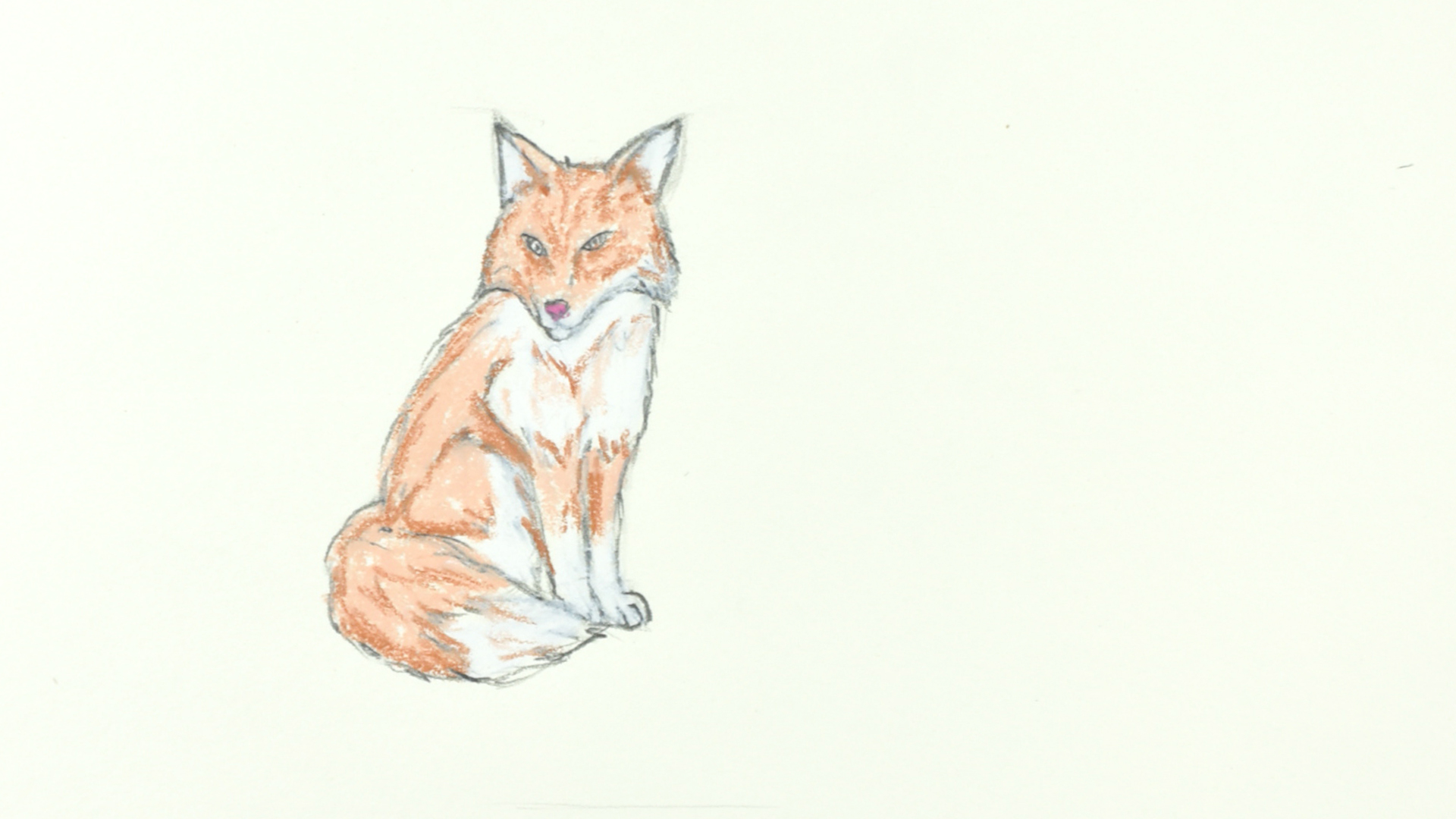 Detail Images Of Fox Drawings Nomer 15