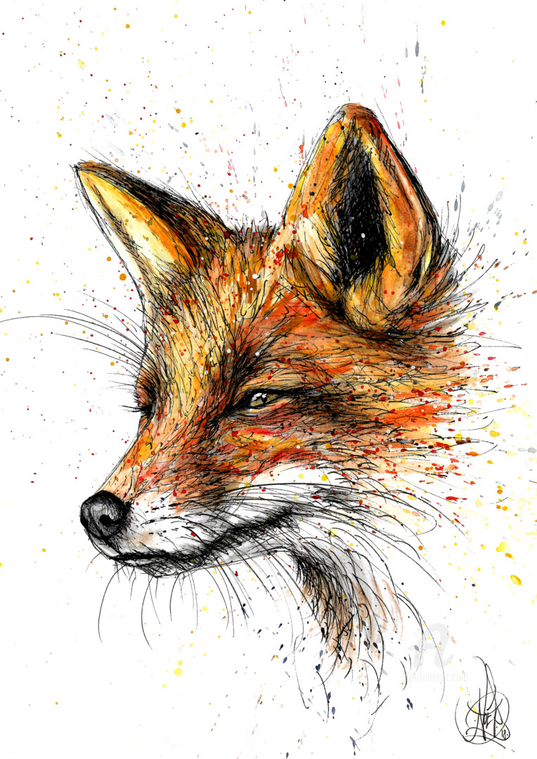 Detail Images Of Fox Drawings Nomer 38