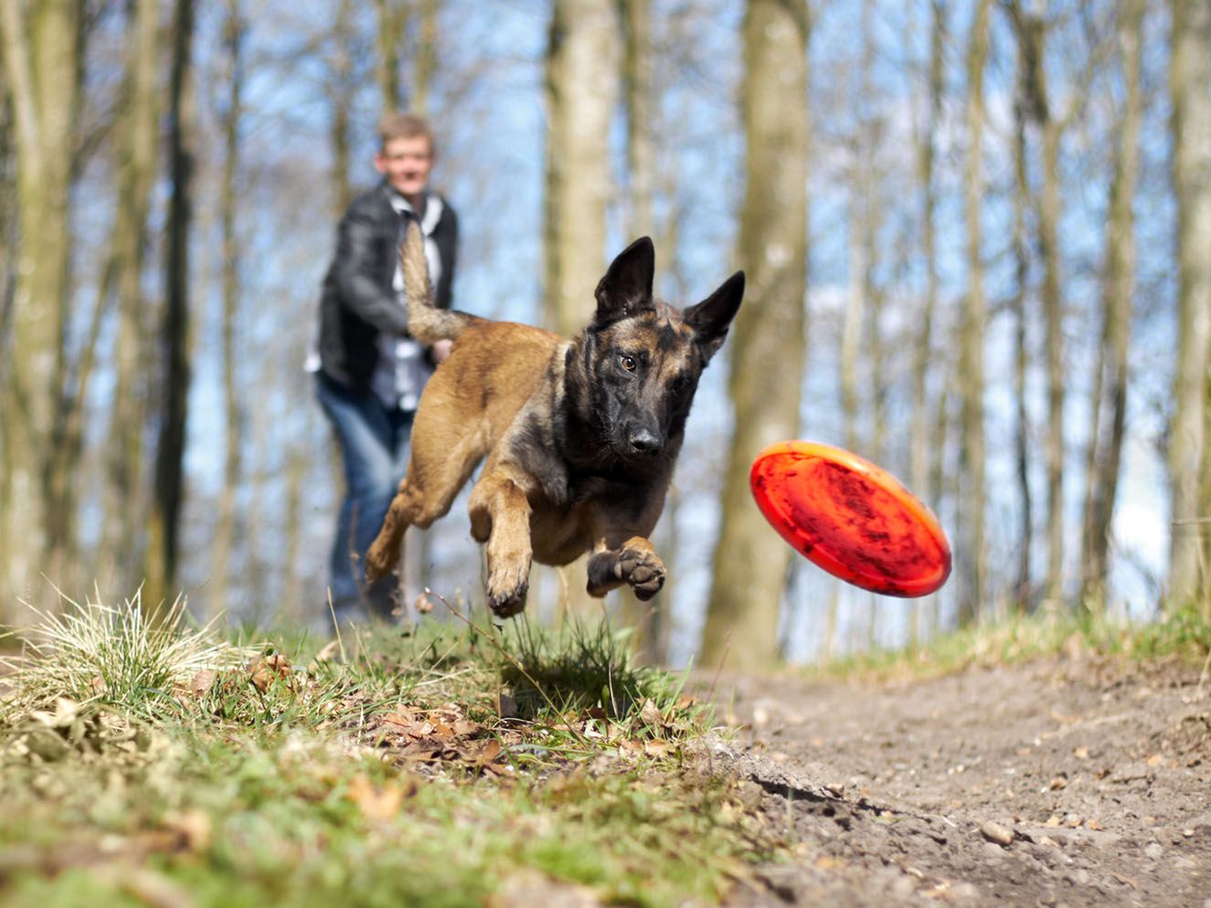 Detail Images Of Frisbee Nomer 45