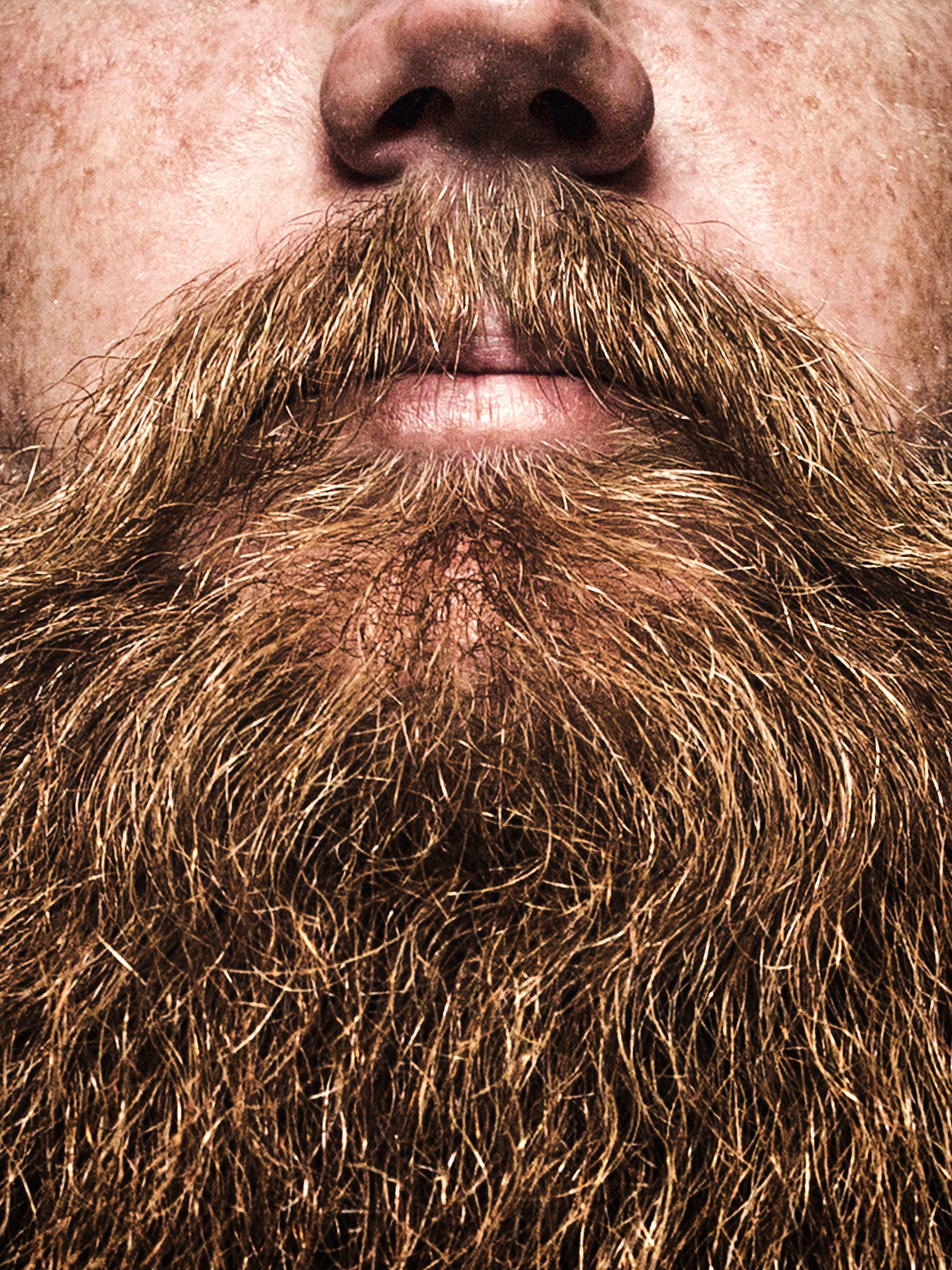 Detail Images Of Full Beards Nomer 11