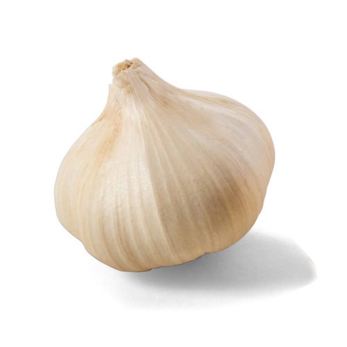 Detail Images Of Garlic Nomer 24