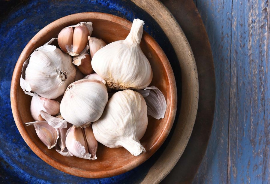 Detail Images Of Garlic Nomer 48