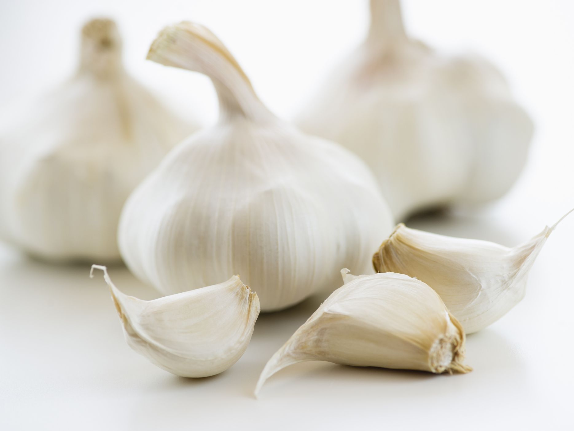 Detail Images Of Garlic Nomer 7
