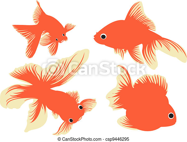 Detail Images Of Gold Fishes Nomer 37