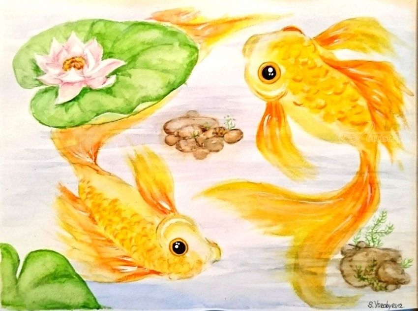 Detail Images Of Gold Fishes Nomer 42