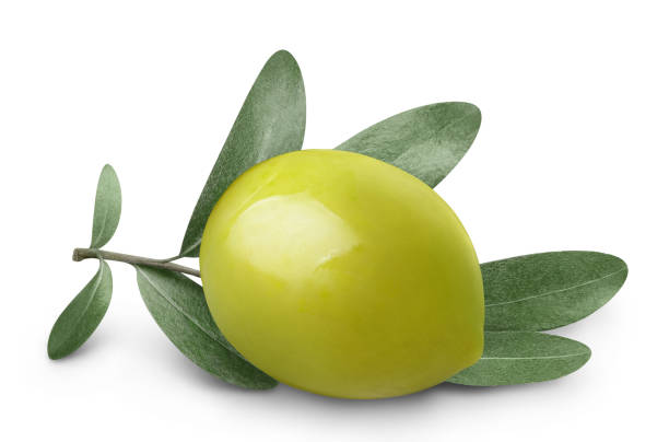 Detail Images Of Green Olives Nomer 20