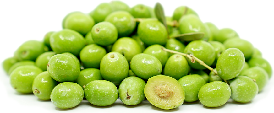 Detail Images Of Green Olives Nomer 32