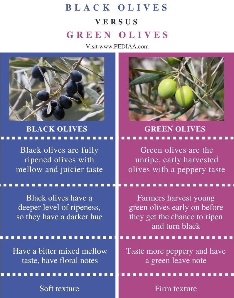 Detail Images Of Green Olives Nomer 46