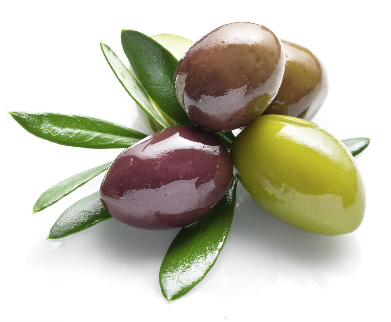 Detail Images Of Green Olives Nomer 54