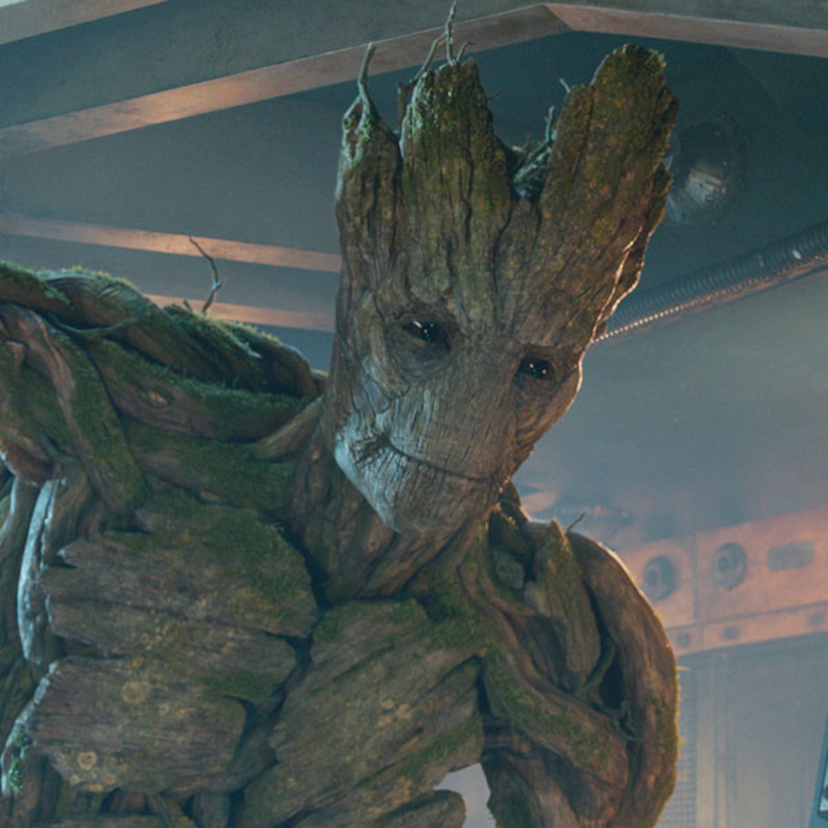 Detail Images Of Groot Nomer 5