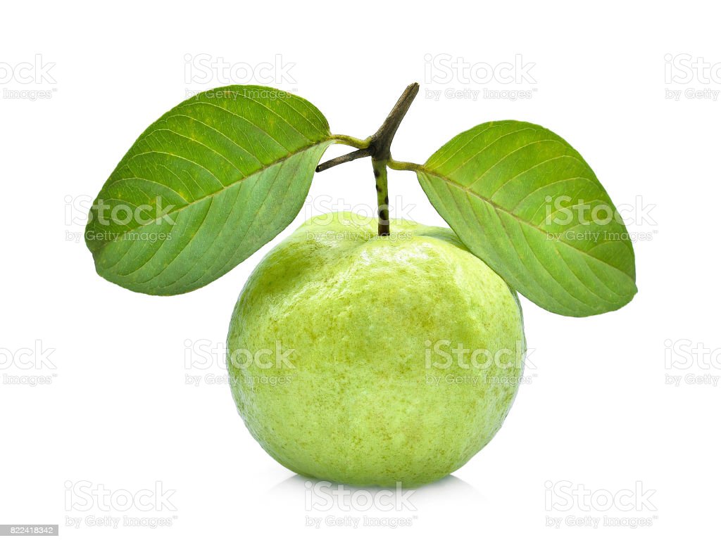 Detail Images Of Guava Fruit Nomer 29