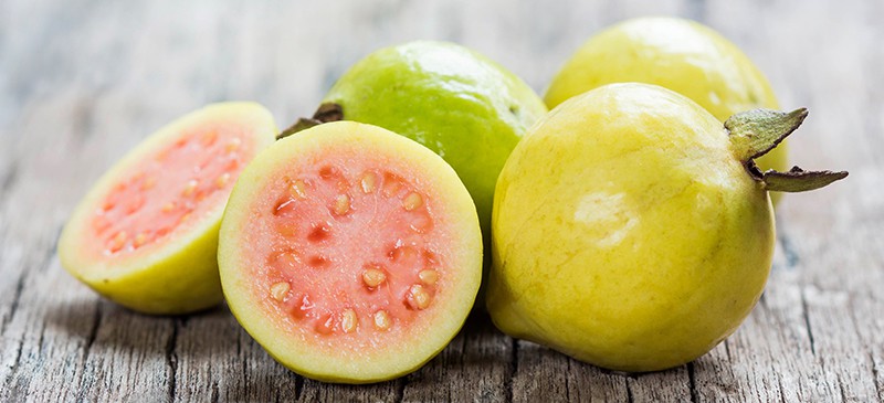 Detail Images Of Guava Fruit Nomer 34