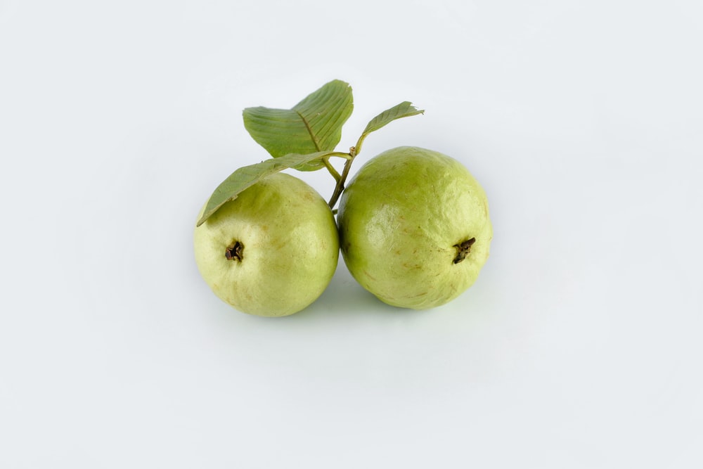 Detail Images Of Guava Fruit Nomer 51