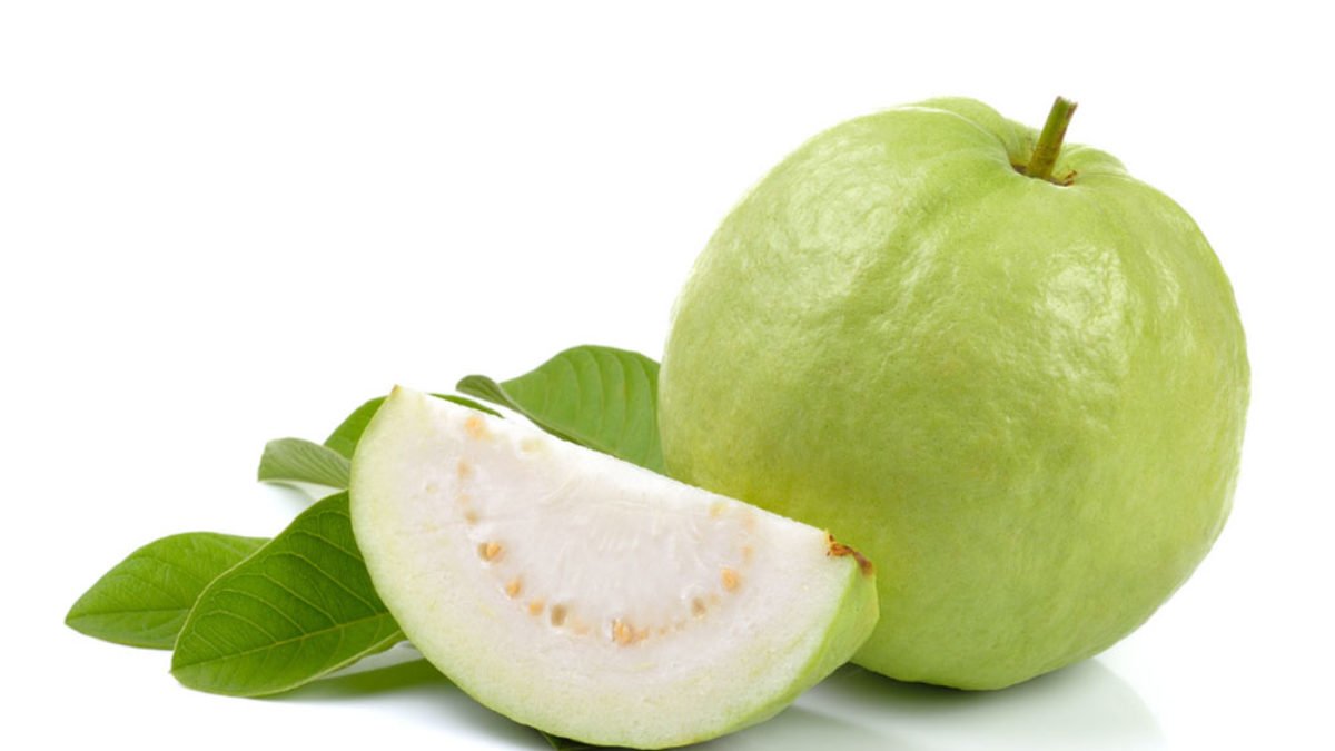 Detail Images Of Guava Fruit Nomer 7