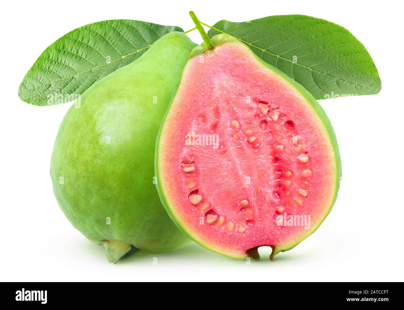 Detail Images Of Guava Fruit Nomer 9