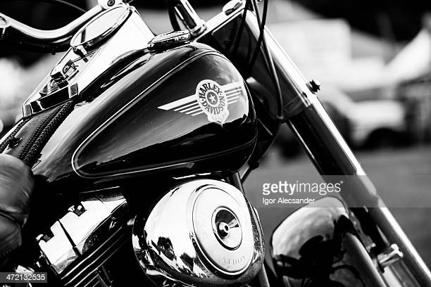 Detail Images Of Harley Davidson Motorcycles Nomer 42