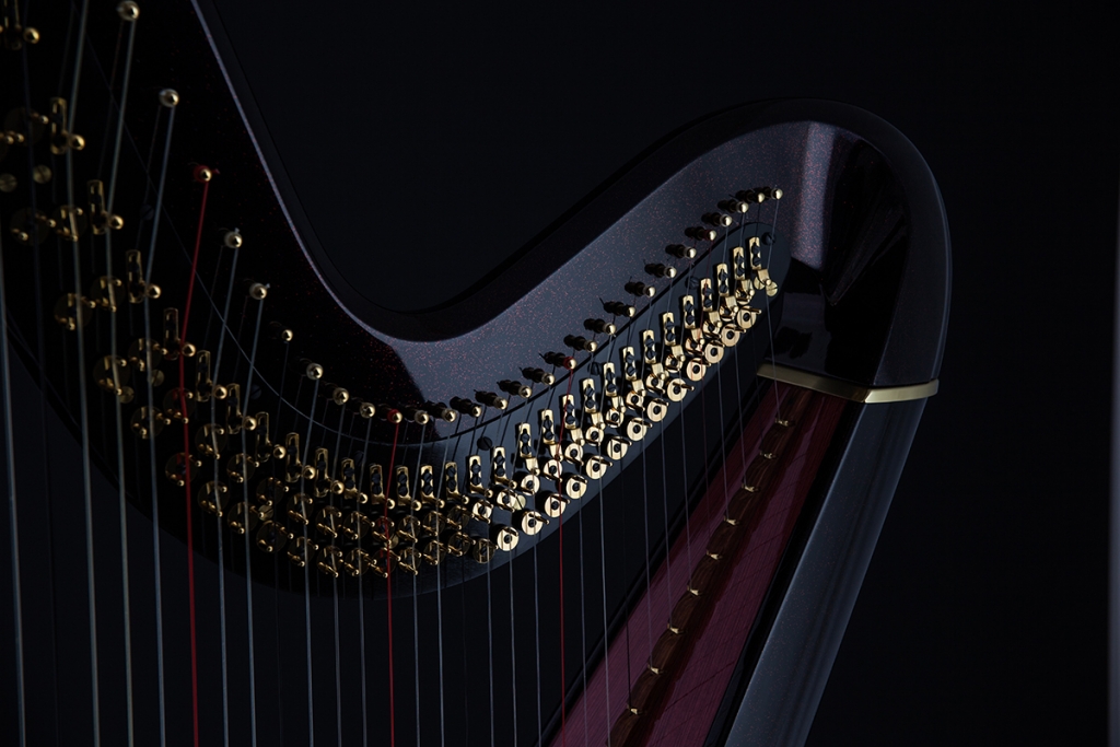 Detail Images Of Harp Nomer 45