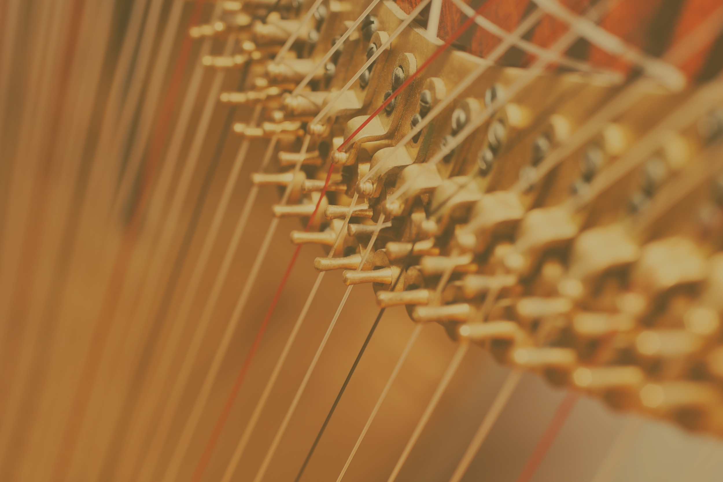 Detail Images Of Harps Nomer 34
