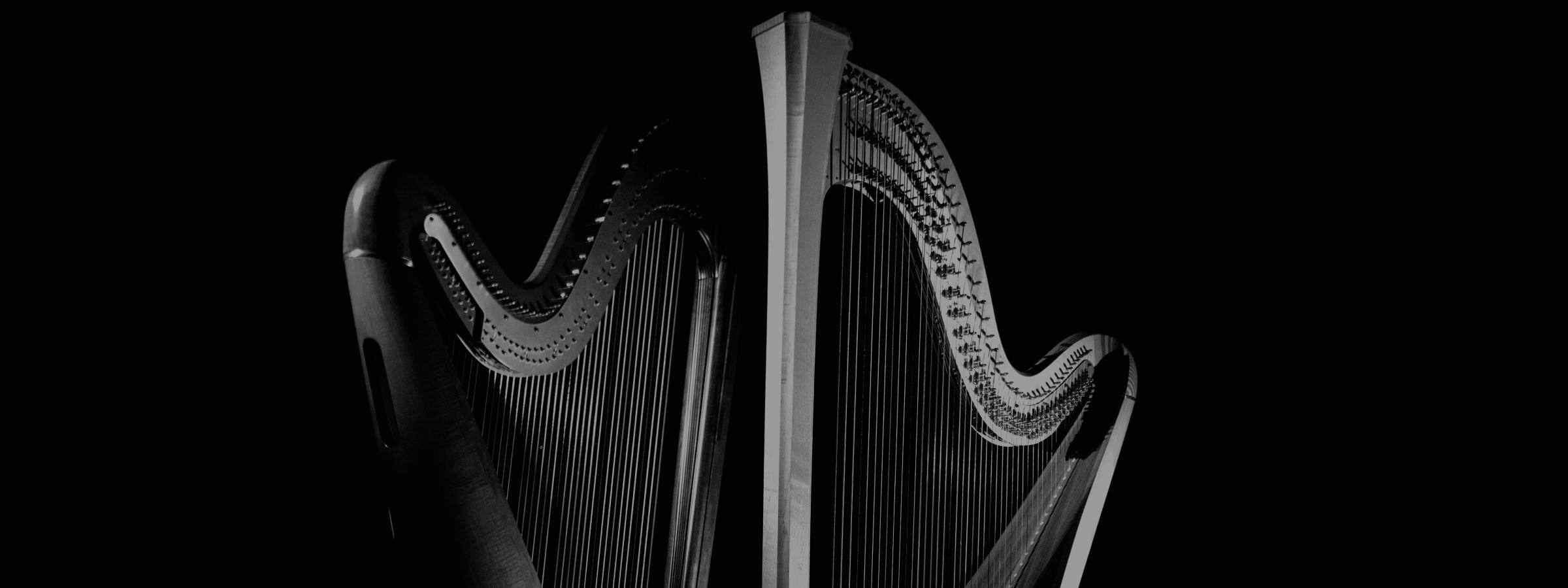 Detail Images Of Harps Nomer 55