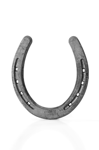 Detail Images Of Horseshoe Nomer 12