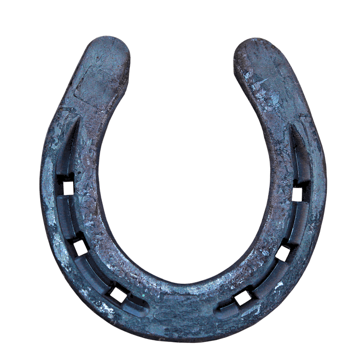 Detail Images Of Horseshoe Nomer 14
