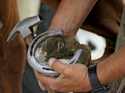 Detail Images Of Horseshoe Nomer 18