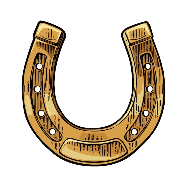 Detail Images Of Horseshoe Nomer 21