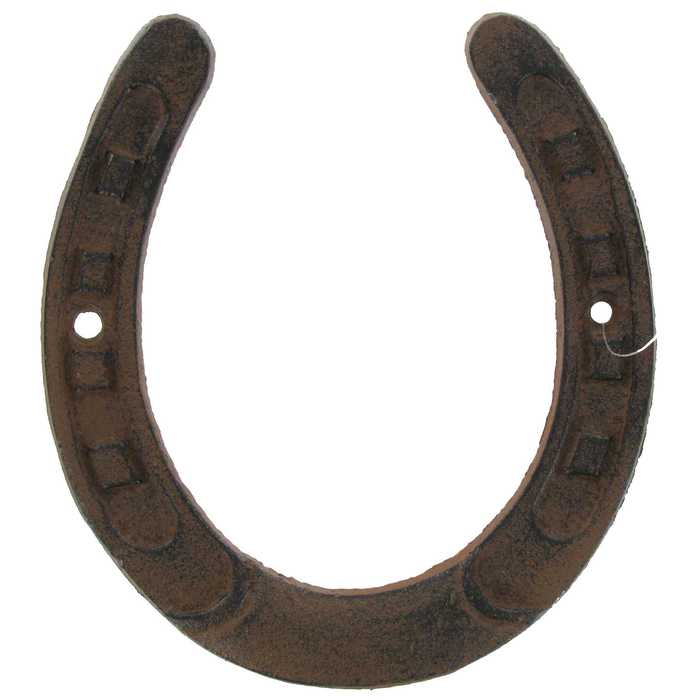 Detail Images Of Horseshoe Nomer 22