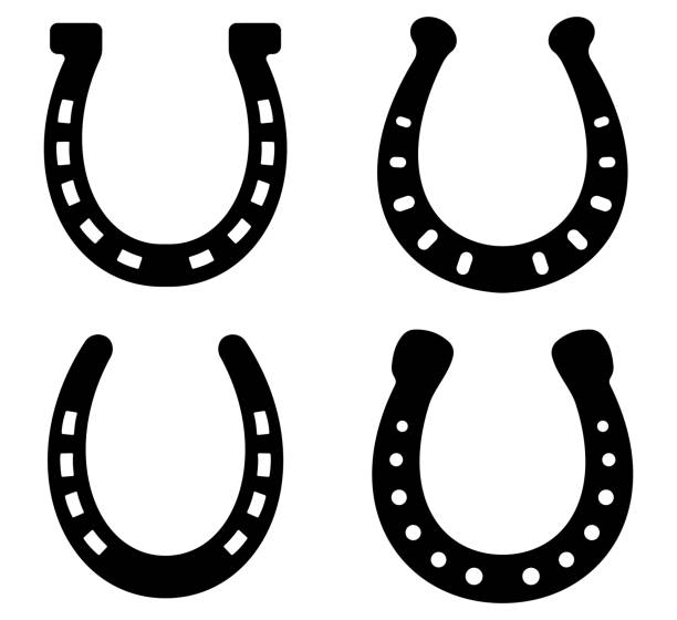 Detail Images Of Horseshoe Nomer 24