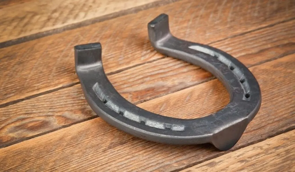 Detail Images Of Horseshoe Nomer 26