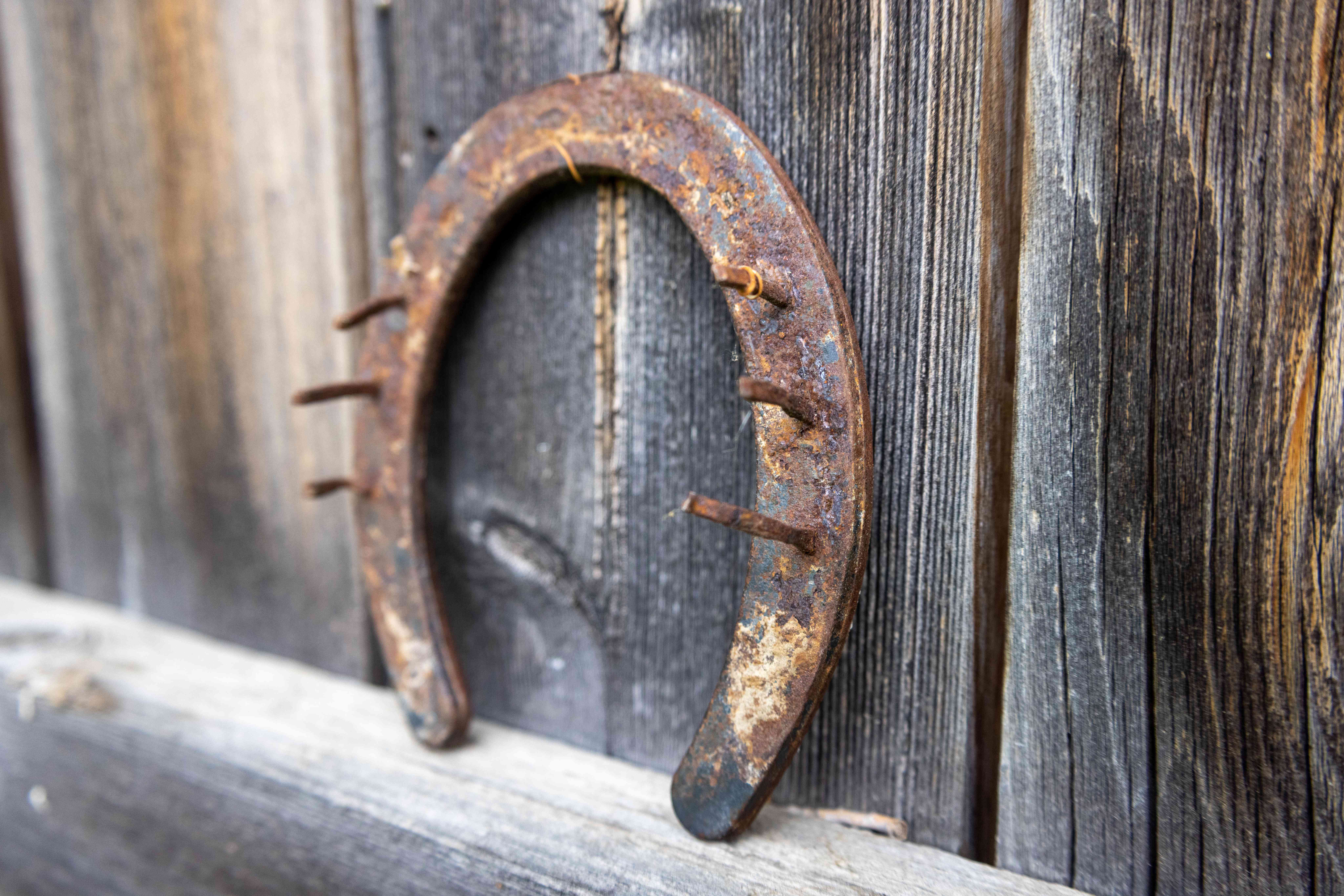 Detail Images Of Horseshoe Nomer 27