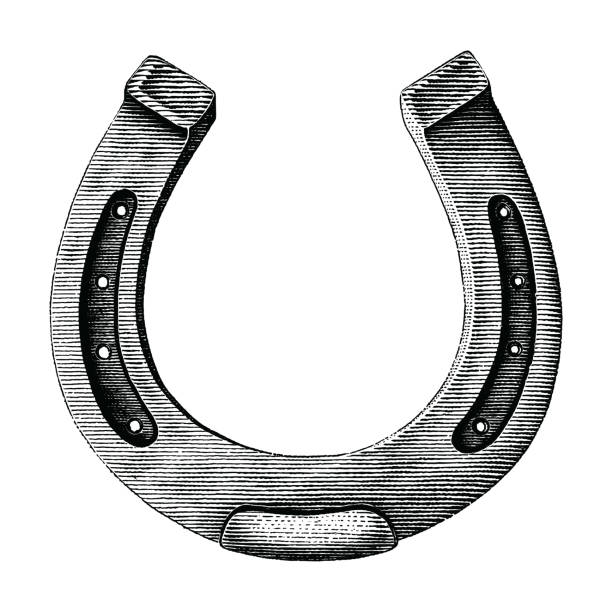 Detail Images Of Horseshoe Nomer 4