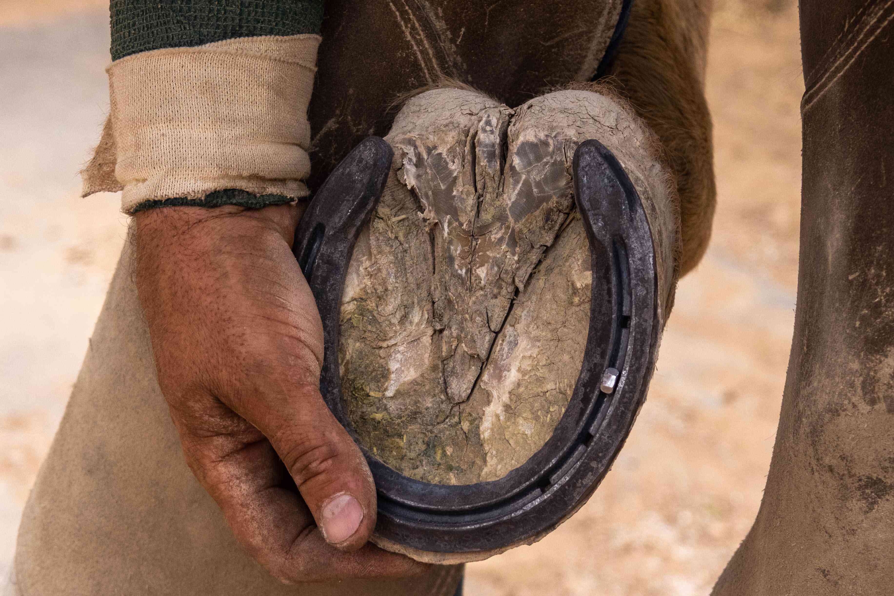 Detail Images Of Horseshoe Nomer 34