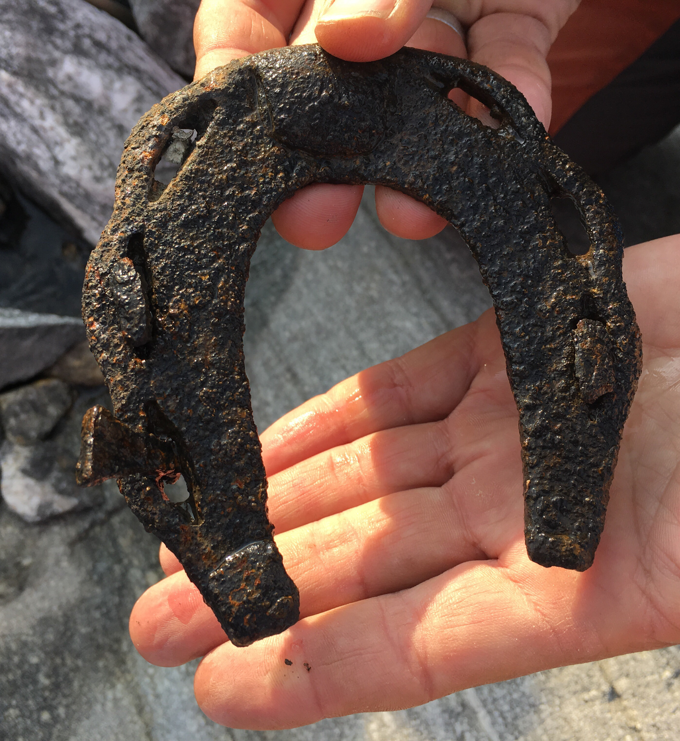Detail Images Of Horseshoe Nomer 45
