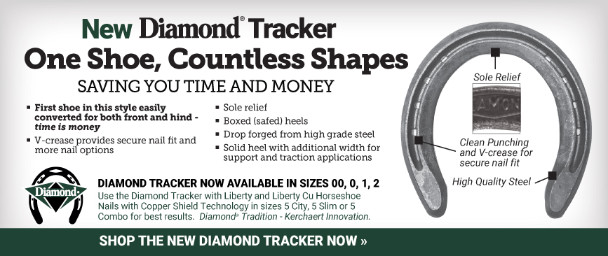 Detail Images Of Horseshoe Nomer 50