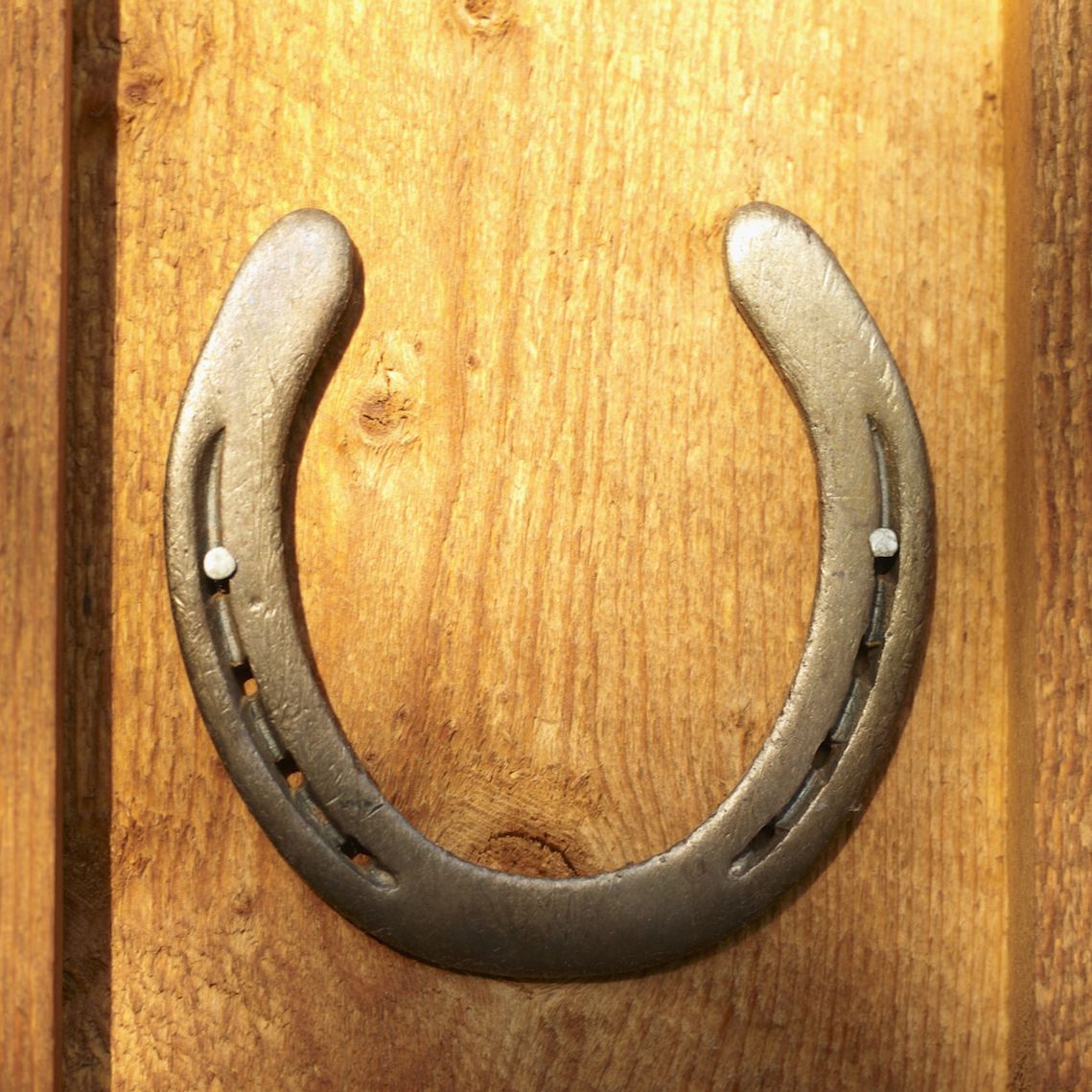 Detail Images Of Horseshoe Nomer 7