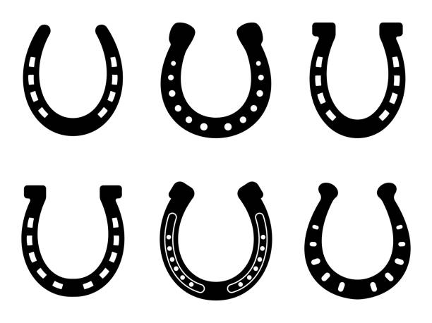 Detail Images Of Horseshoe Nomer 8