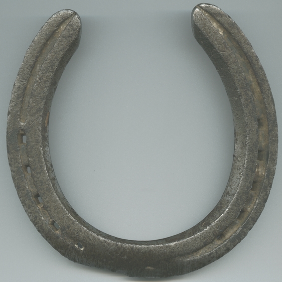 Detail Images Of Horseshoe Nomer 10