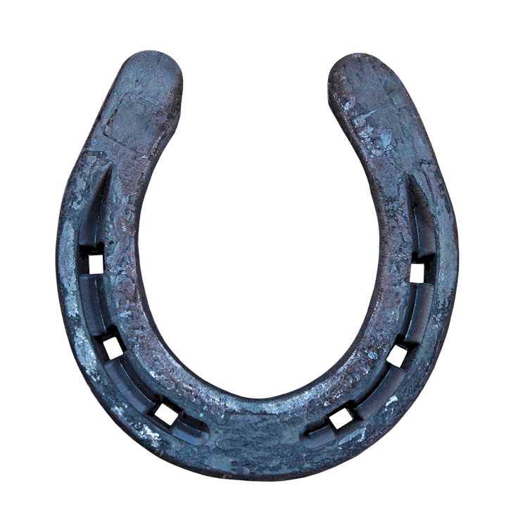 Detail Images Of Horseshoes Nomer 13