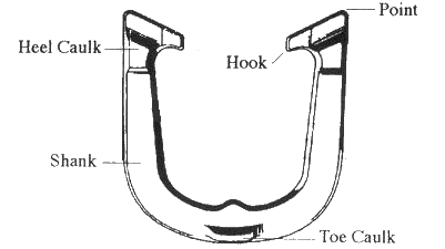 Detail Images Of Horseshoes Nomer 43