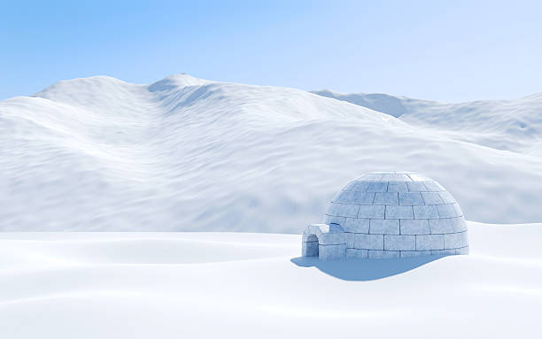 Detail Images Of Igloo House Nomer 14