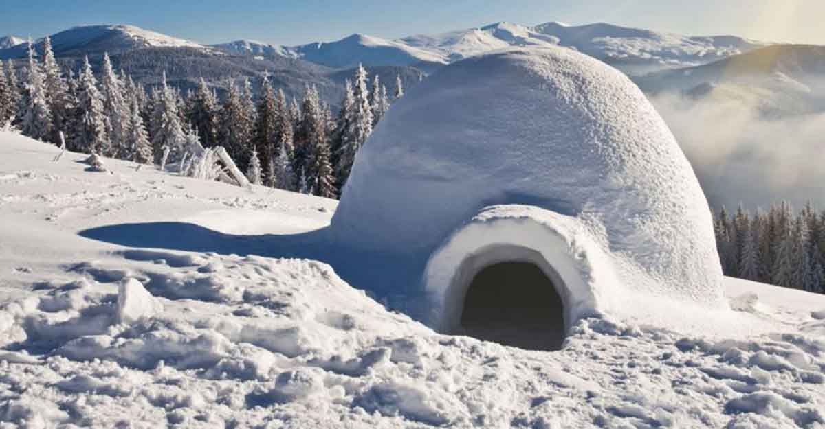 Detail Images Of Igloo House Nomer 20