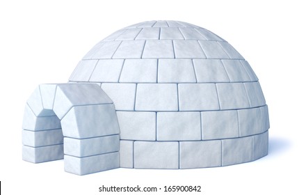 Detail Images Of Igloo House Nomer 4